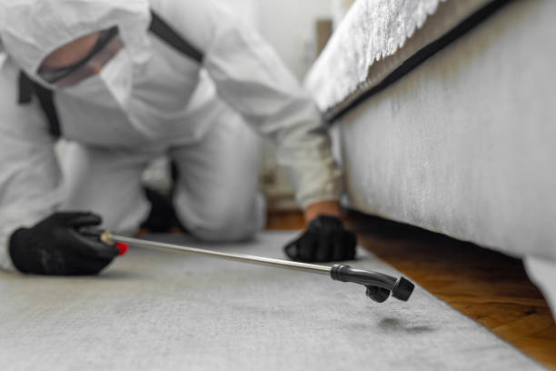 Professional Bed Bug Control technician working in Lawrenceville, GA